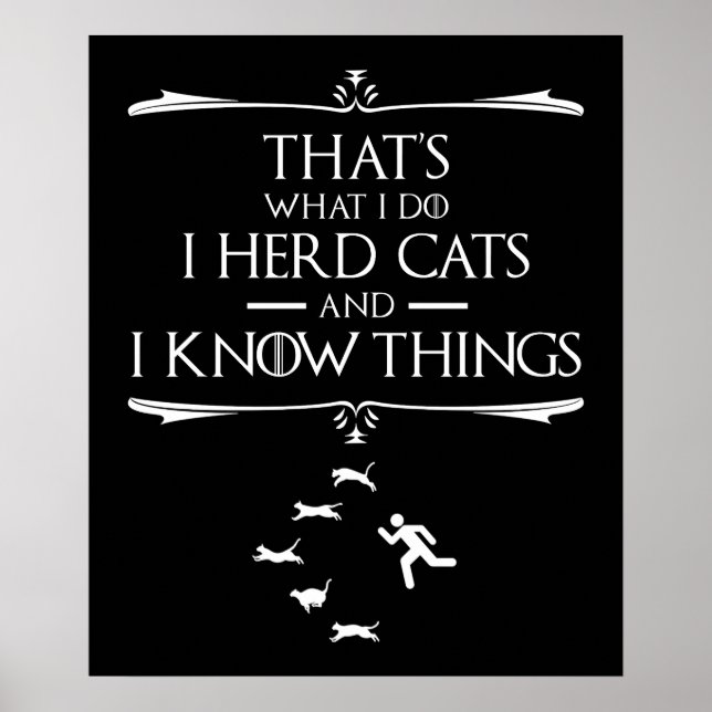 Poster C'est ce que je fais - J'ai des chats et je connai (Devant)