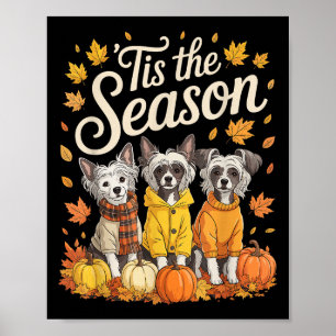 Poster C'Est La Saison Chien Craché Chinois Automne Pum A