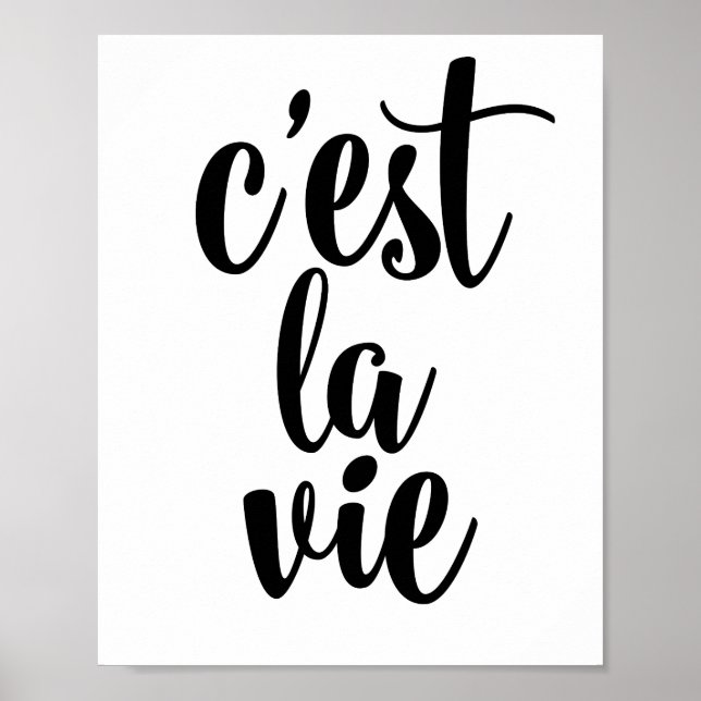 Poster C'est la vie (Devant)
