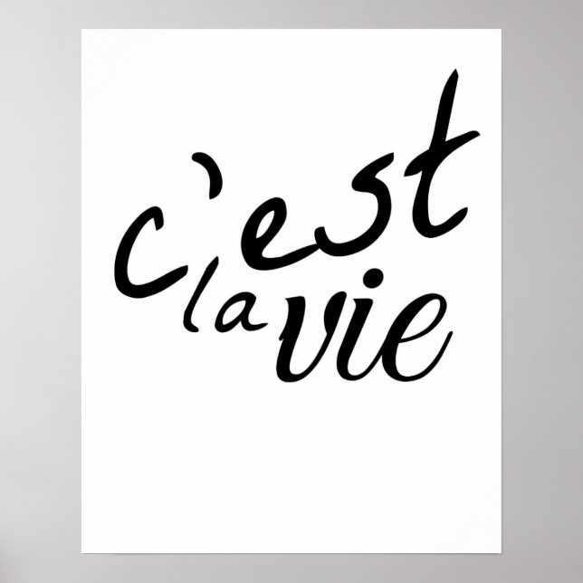 Poster C'est La Vie (Devant)