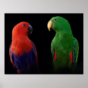 Poster C'est l'Amour !