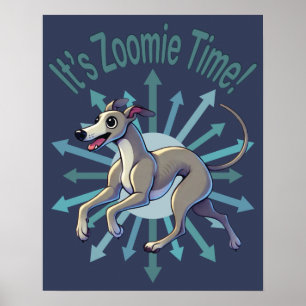 Poster C'est le temps de Zoomie Greyhound