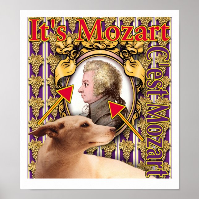 Poster C'est Mozart (Devant)