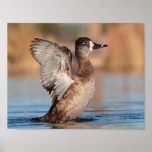Poster C'est un Flapper