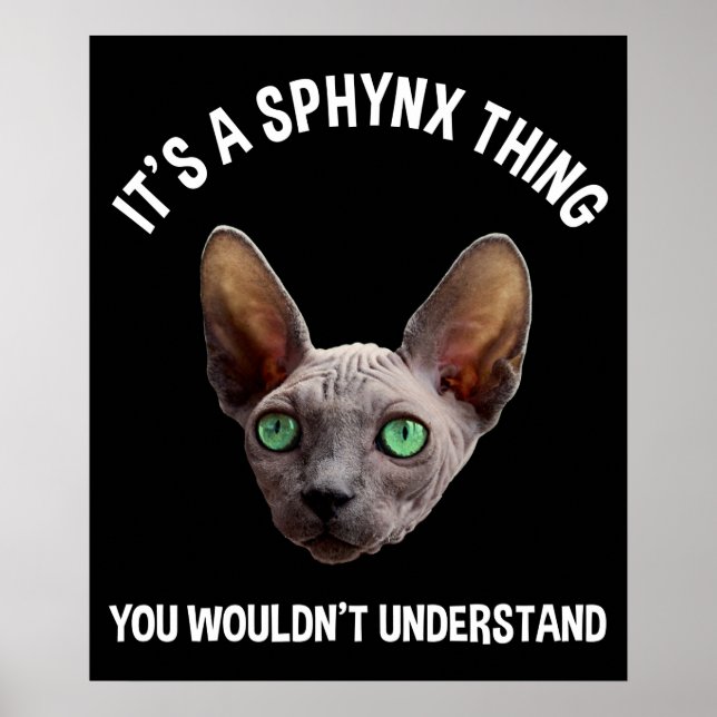Poster C'est un truc de Sphynx - Vous ne comprendriez pas (Devant)
