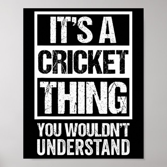 Poster C'est une chose de cricket que vous ne comprendrie (Devant)