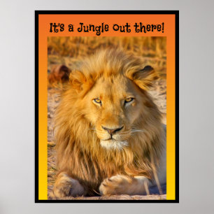 Poster C'est une Jungle là-bas !