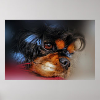 Poster C'est une vie difficile....