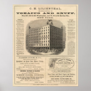 Poster CH Lilienthal