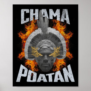 Poster Chama Paotan Mixed martial art Fan Jjb Boxe Muay T