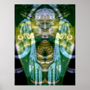 Poster Chaman Reptilien 3