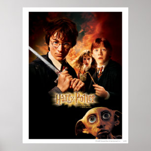 Poster Chamber of Secrets - French