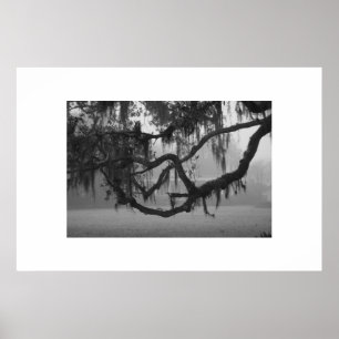 Poster Chambre d'Addis