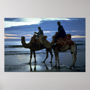 Poster Chameaux, Maroc