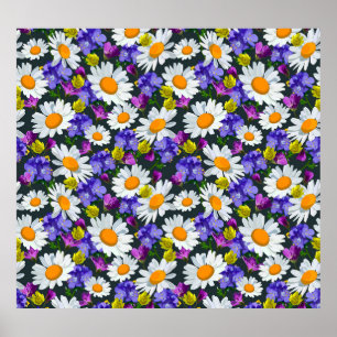 Poster Chamomille, fleurs sauvages : motif sans soudure.