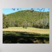 Champ Cades Cove