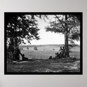 Poster Champ de bataille de Cedar Mountain de l'Ouest 186