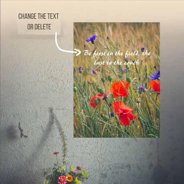 Poster Champ de blé avec des coquelicots et des fleurs de (Créateur téléchargé)