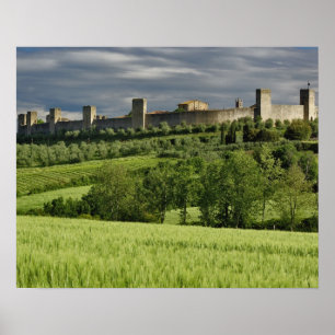 Poster Champ de blé et Monteriggioni lointain, dans la
