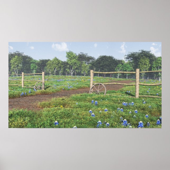 Poster Champ de Bluebonnets (Devant)