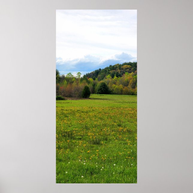 Poster Champ de fleurs (Devant)