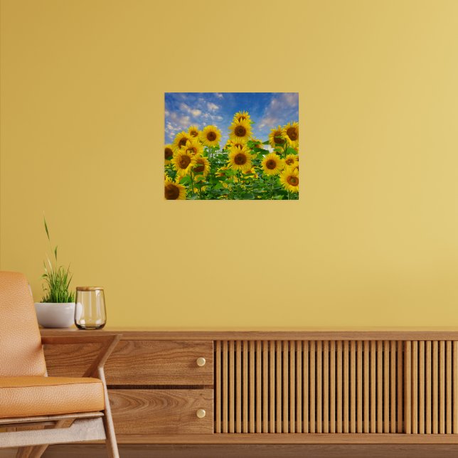 Poster Champ de fleurs de tournesol (Salon 2)