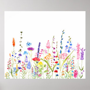 Poster champ de fleurs sauvages coloré