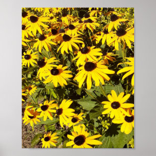 Poster Champ de fleurs sauvages jaunes