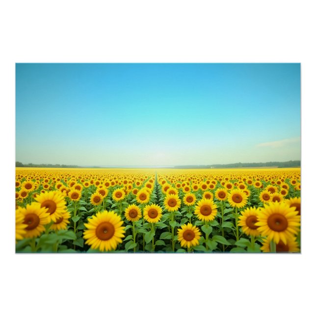 Poster Champ de Tournesols Infini Sous le Ciel Bleu d'Été (Devant)