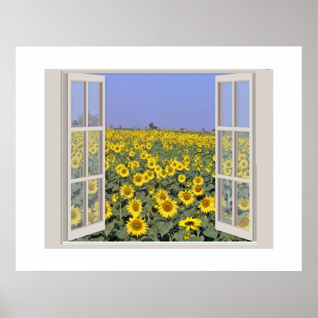 Poster Champ de tournesols vu par une fenêtre ouverte (Devant)