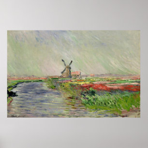 Poster Champ de Tulipes en Hollande - Claude Monet - 1886