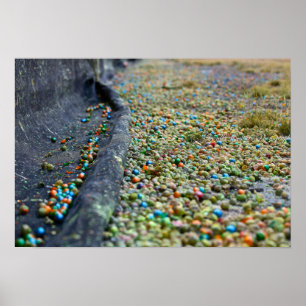 Poster Champ des rêves