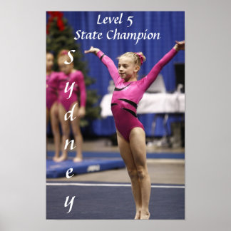Poster Champ d'état