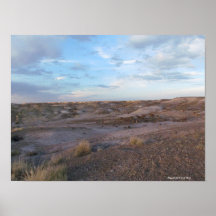 Champ forestier pétrifié
