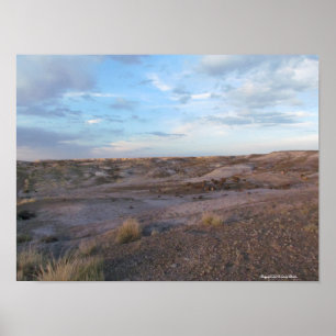 Poster Champ forestier pétrifié