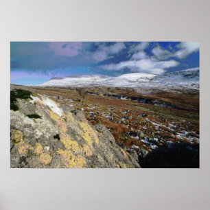 Poster Champ rocheux