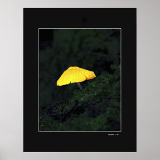 Poster Champagne
