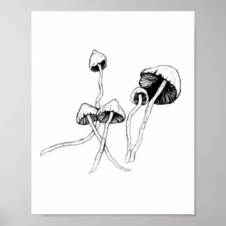 Poster Champignon de Psilocybin