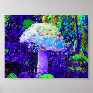 Poster champignon psychédélique