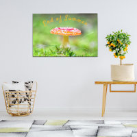Champignon rouge tabouret automne fin de l'été pho
