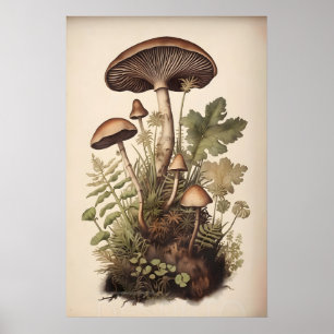 Poster Champignons botaniques dans la fougère de mousse,
