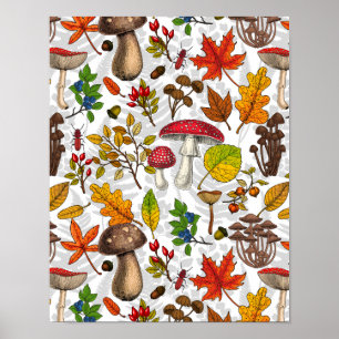 Poster Champignons d'automne, feuilles, noix et baies sur