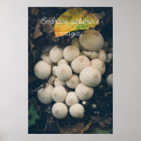 Champignons de la boule blanche parmi les feuilles