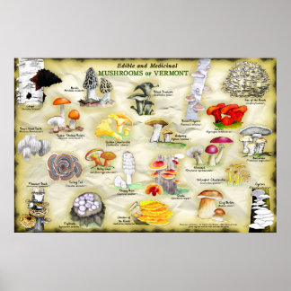 Poster Champignons du Vermont