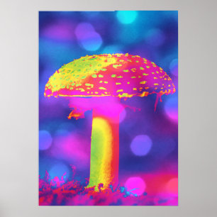 Poster Champignons en lumières