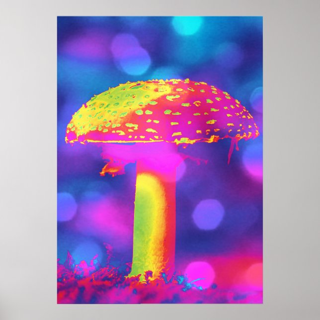 Poster Champignons en lumières (Devant)