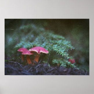 Poster Champignons et pruches (Poster)