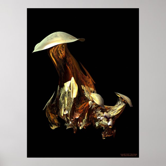 Poster Champignons magiques (Devant)
