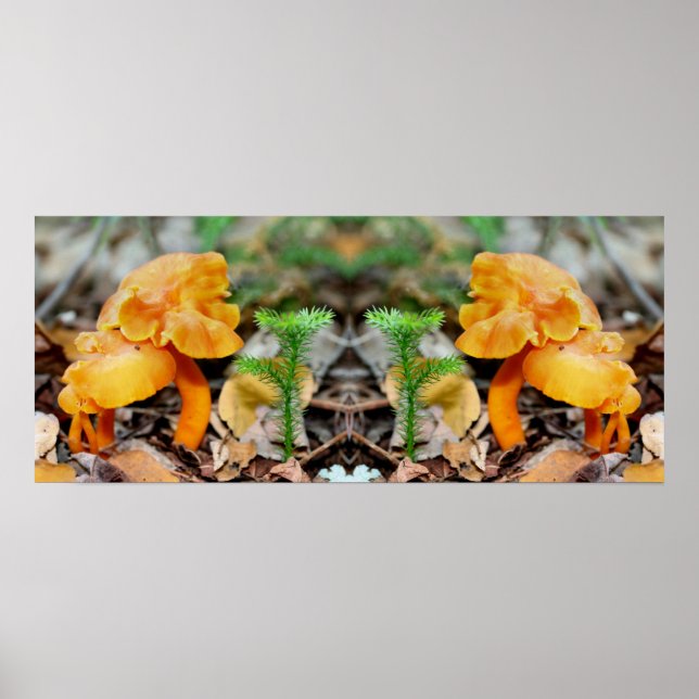 Poster Champignons sauvages d'orange pâle Miroir Abstrait (Devant)
