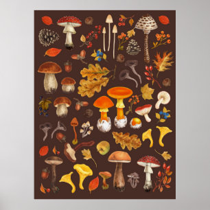 Poster Champignons sauvages sur brun